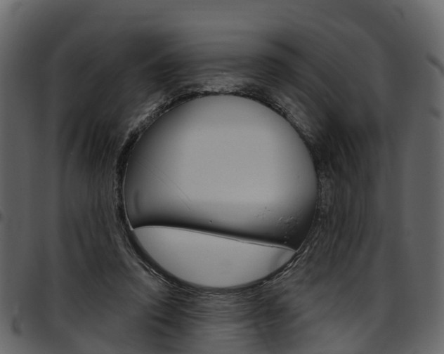 X0000097610354200802290801