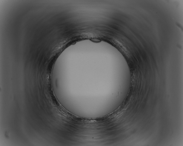 X0000097610355200802290801