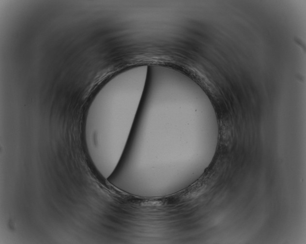 X0000097610357200802290801