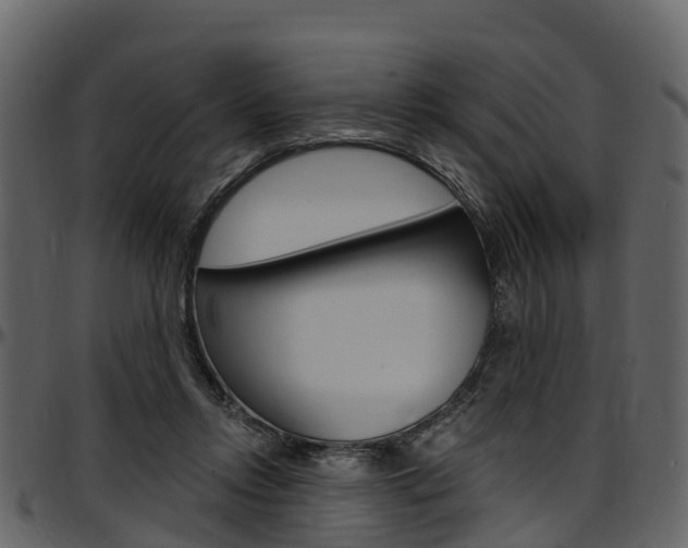 X0000097610358200802290801