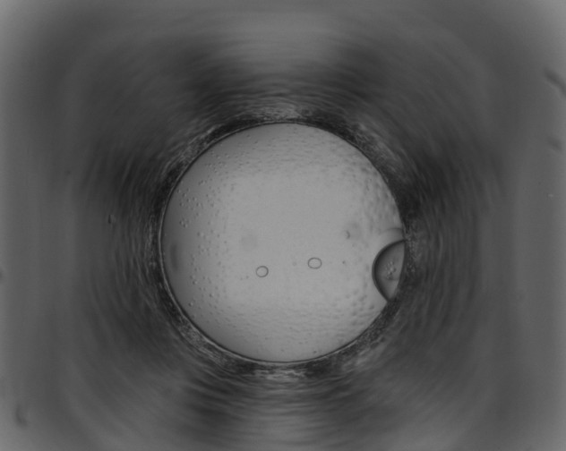 X0000097610359200802290801
