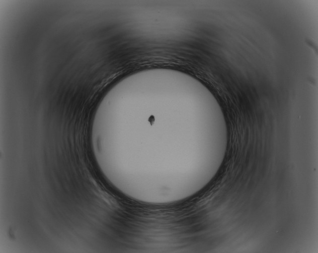 X0000097610360200802290801