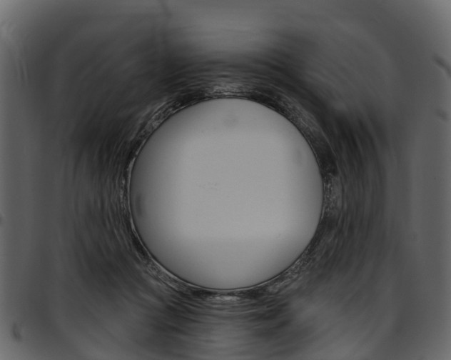 X0000097610361200802290801