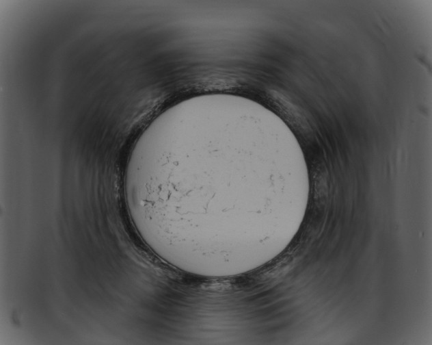 X0000097610362200802290801