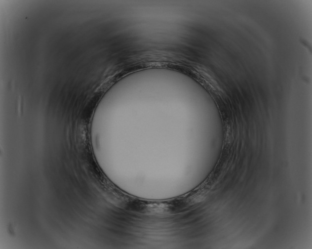 X0000097610363200802290801