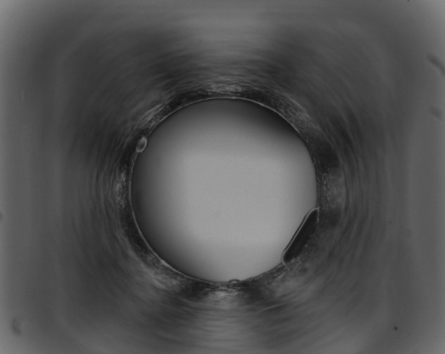 X0000097610364200802290801