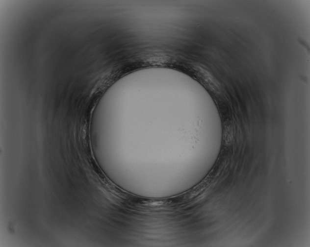 X0000097610365200802290801