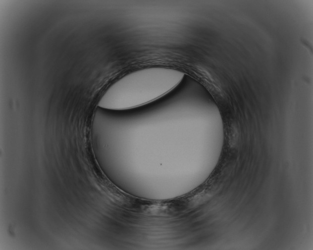 X0000097610366200802290801