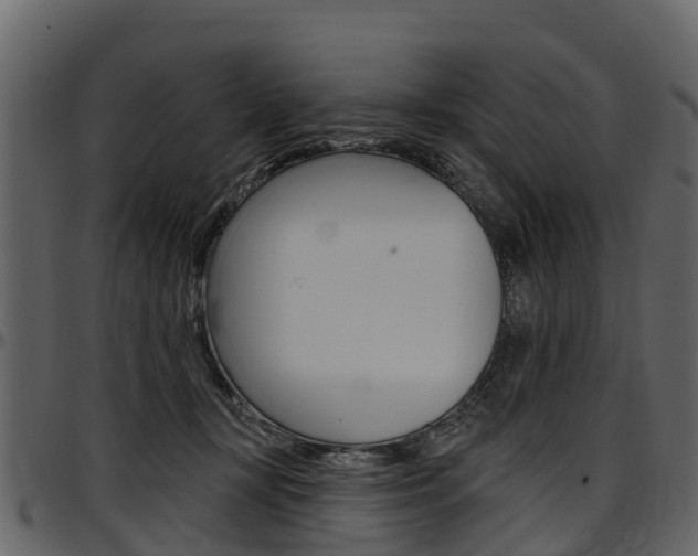 X0000097610367200802290802
