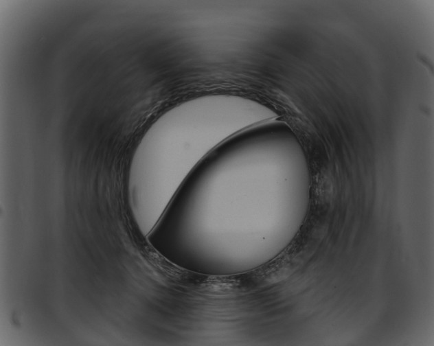 X0000097610368200802290802