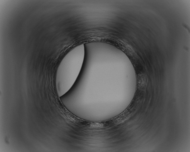 X0000097610369200802290802