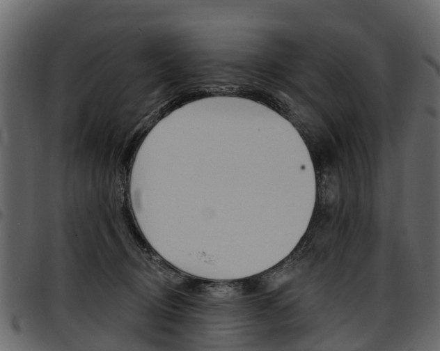 X0000097610370200802290802