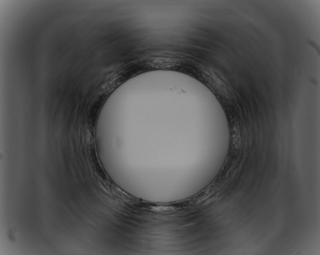 X0000097610371200802290802