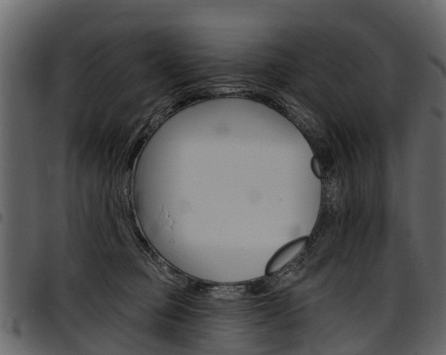 X0000097610373200802290802