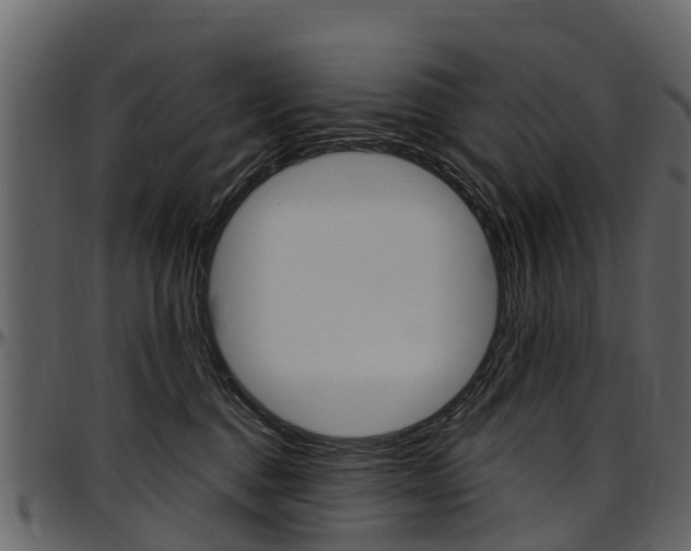 X0000097610376200802290802