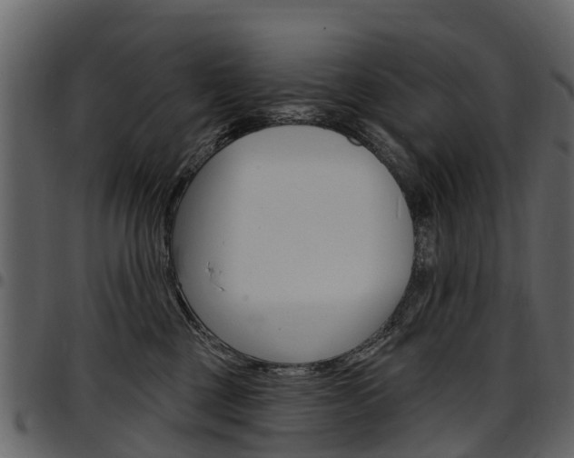 X0000097610377200802290802