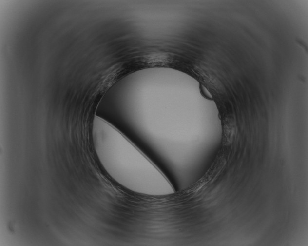 X0000097610379200802290802