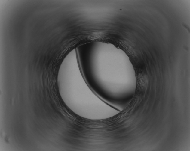 X0000097610380200802290802