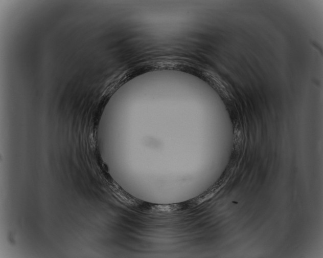 X0000097610381200802290802