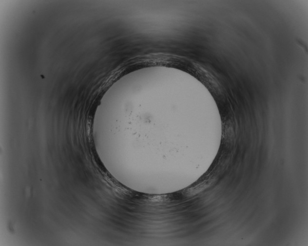 X0000097610382200802290802
