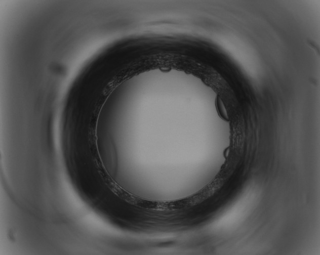 X0000097610383200802290802