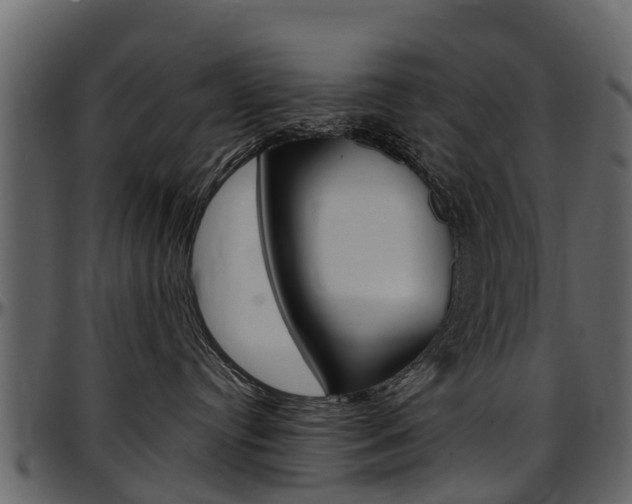 X0000097610384200802290802
