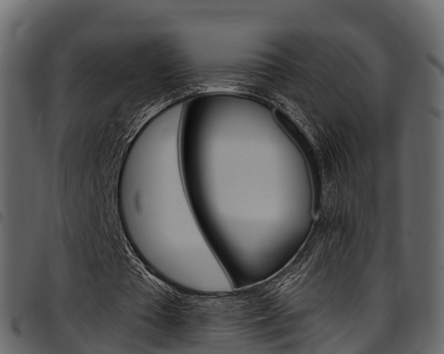 X0000097610385200802290801