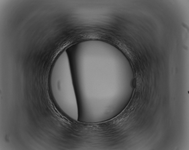 X0000097610386200802290801