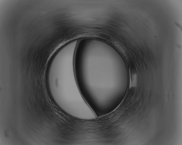 X0000097610387200802290801