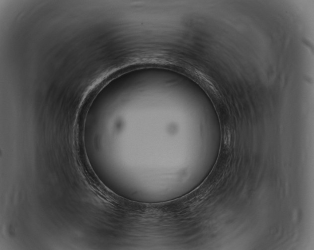 X0000097610388200802290801