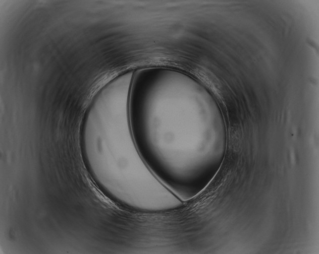 X0000097610389200802290801