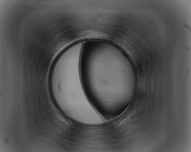 X0000097610391200802290801