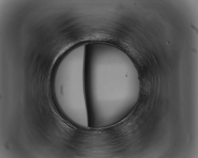 X0000097610392200802290801
