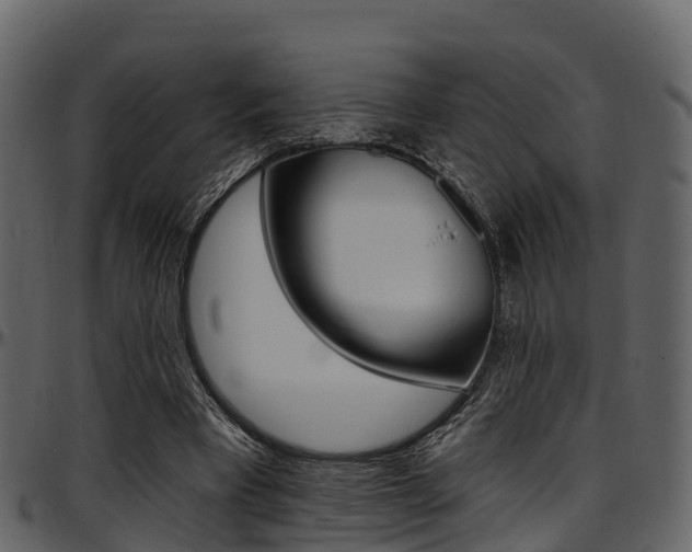 X0000097610393200802290801