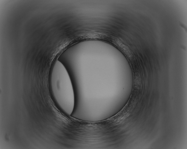 X0000097610394200802290801