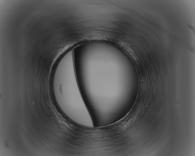X0000097610395200802290801