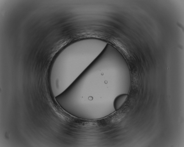 X0000097610398200802290801