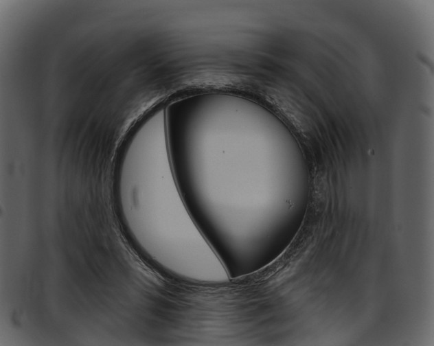 X0000097610399200802290801