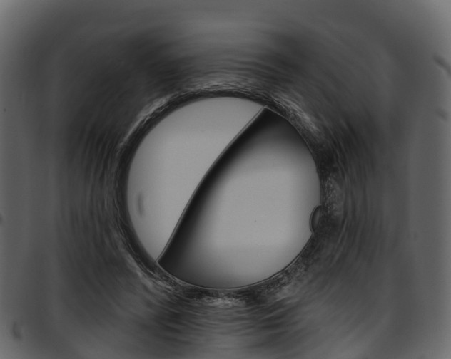 X0000097610400200802290801