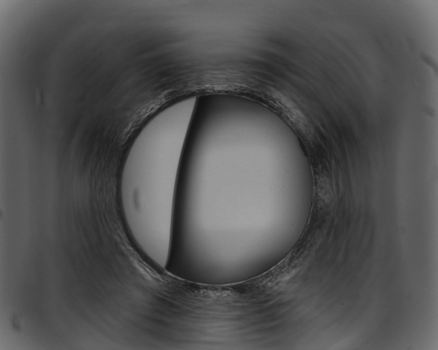 X0000097610401200802290801