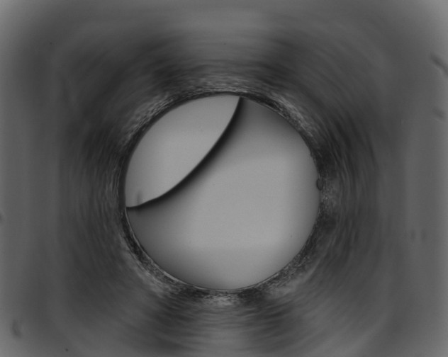 X0000097610402200802290801