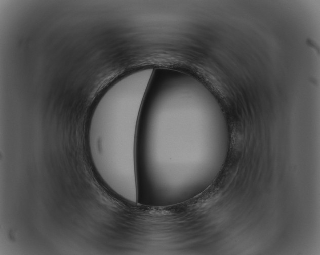 X0000097610403200802290801