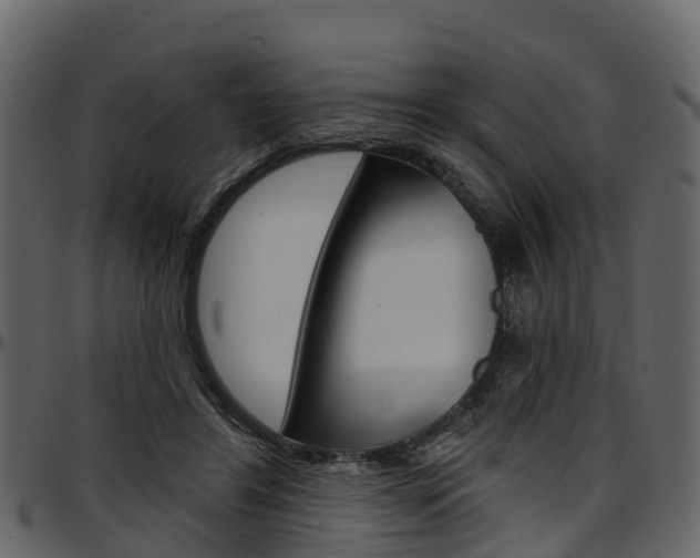X0000097610404200802290801