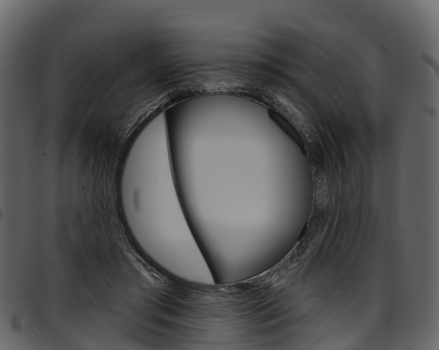 X0000097610405200802290801