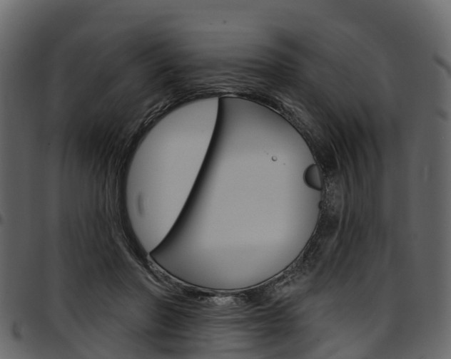 X0000097610406200802290801