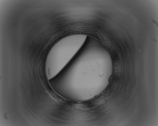 X0000097610408200802290801