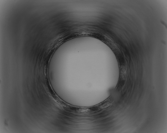 X0000097610410200802290801