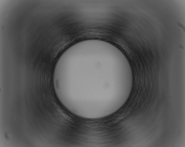 X0000097610411200802290801