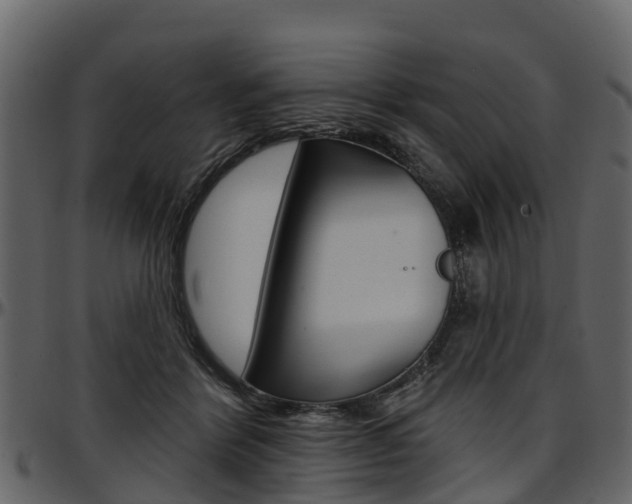 X0000097610412200802290801