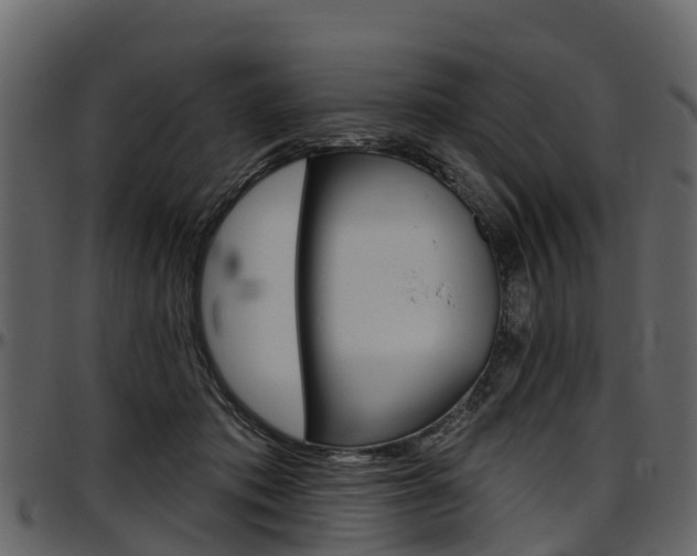 X0000097610413200802290801